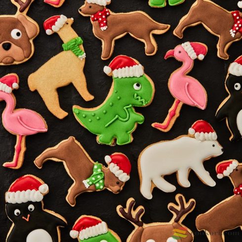 Birkmann Cookie cutter Christmas T-Rex 8cm