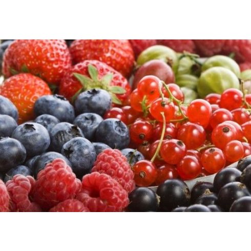 Ibili Gyümölcspasszírozó, inox