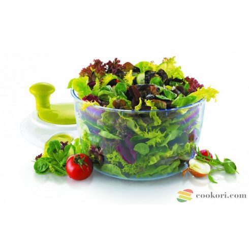 Salad spinner via crank
