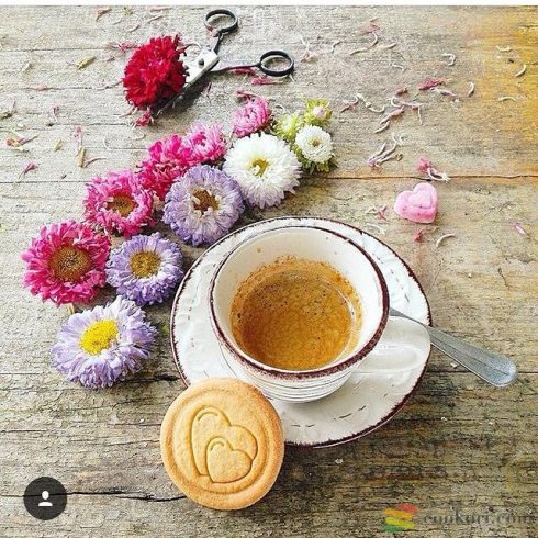 Tescoma Keksz pecsét party, 6db-os